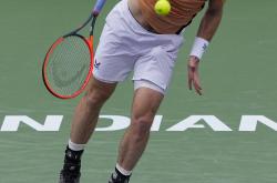 开云下载-关于欧洲网球队强势世界网球队，穆雷绝境逆转的信息