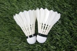 开云体育APP下载-印度羽毛球队力克马来西亚羽毛球队，安赛龙高光表现