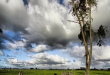 开云APP-丹麦队力克印度队，郑思维扛起全队